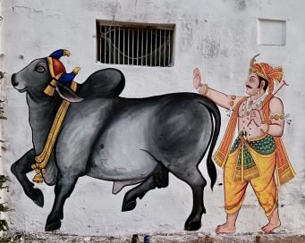 Wall paintings at the Nathdwara goshala,November 2022. Artwork by Raghunandan Sharma and Suresh V. Sharma.